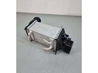 Интеркулер  04e145785m   Cupra Formentor 