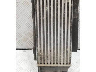 Интеркулер Ford Ecosport