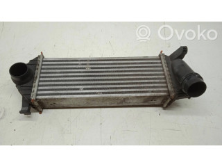 Интеркулер 144963234R, Y5665004 Renault Kangoo II 1.5