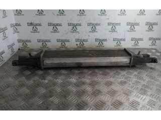 Интеркулер  866452000   Fiat Punto (199) 