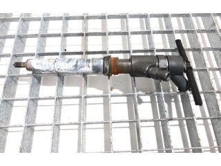 Комплект жиклеров (форсунок) 2995470 Fiat Ducato