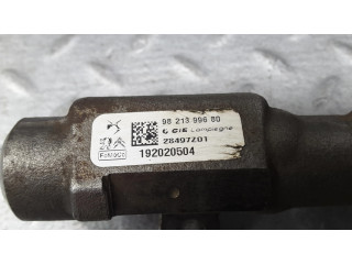 Vstřikovací lišta 9821399680, 192020504 Citroen Berlingo pro naftový motor 1.5 DV5RD