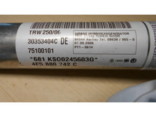 Боковая подушка безопасности 4F5880742C, M338   Audi A6 S6 C6 4F
