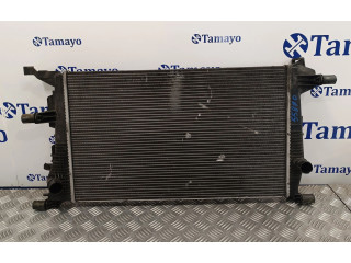 Панель приборов 214100002R, RA1562   Renault Megane III       