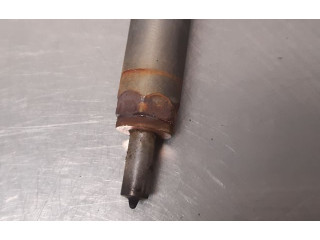 Форсунка 166008399R Renault Clio IV