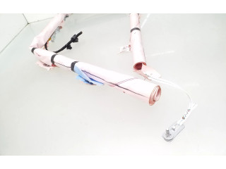 Надувная подушка для крыши LV4BS042D95AG, LV4B-S042D95-AG   Ford Kuga III