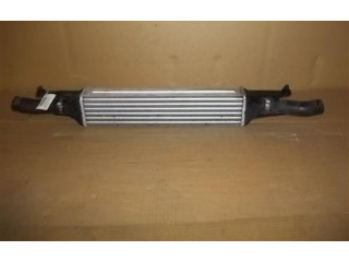 Интеркулер  55702237, 999-U18309   Fiat Punto Evo 