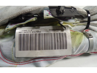 Подушка безопасности двери 6V0880742E, 0YAR07H0691170 Skoda Fabia Mk3 (NJ)