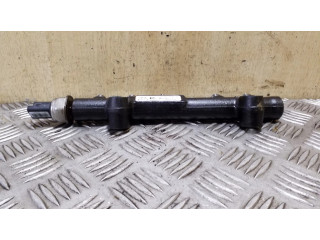 Топливная рампа 9684753080, 9664111780   Citroen DS4 1.6 