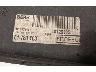 Вентилятор радиатора     51780703, 51854570    Citroen Nemo 