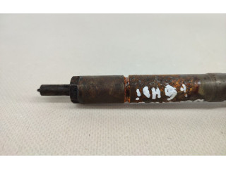 Vstřikovač 0445110239   Citroen Berlingo     