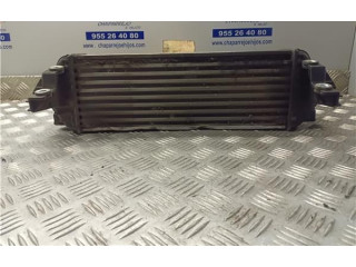 Интеркулер     Ford Transit -  Tourneo Connect 