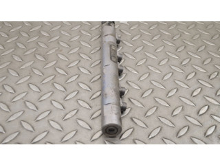 Топливная рампа 7823460, 0281002948 Mini Cooper Countryman R60 для двигателя N47 C16 A