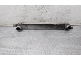 Интеркулер     Opel Meriva A 