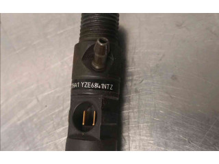 Форсунка 166000897R    Renault Clio III   