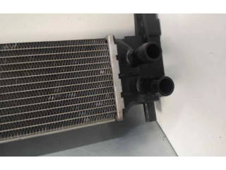 Интеркулер Skoda Rapid (NH)