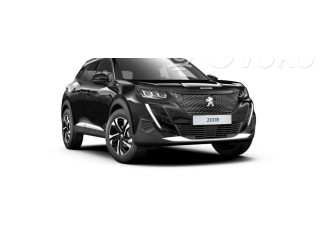 Дисплей    9841452080   Peugeot 2008 II