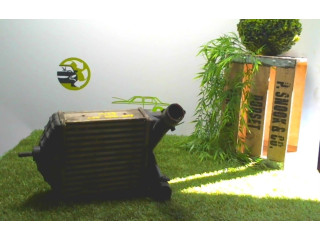 Интеркулер Fiat Idea