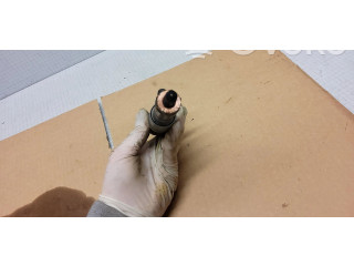 Форсунка 0445110, 7793836 BMW X3 E83