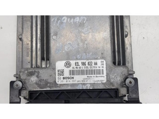 Řídící jednotka 03L906022AA, 0281014397 Volkswagen Tiguan 2010