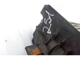 Интеркулер     Mercedes-Benz R W251 