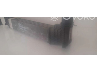 Интеркулер 7M0145805 Seat Alhambra (Mk1)