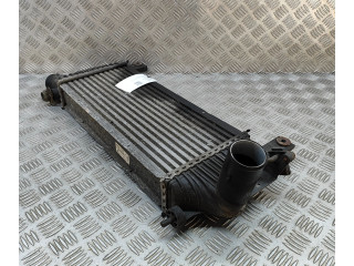 Интеркулер 14461EB360 Nissan Pathfinder R51