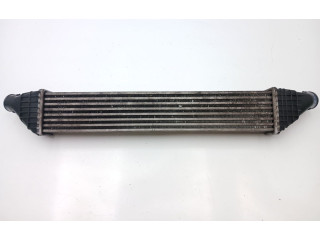 Интеркулер P5887001 Fiat Freemont