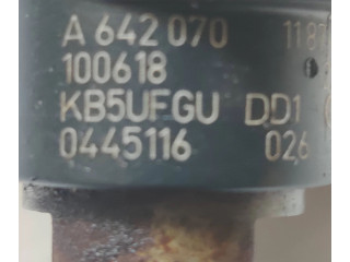 Форсунка 0445116, 100618    Mercedes-Benz R W251   