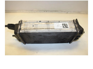 Интеркулер H1BG-6K775-AC Ford Ecosport