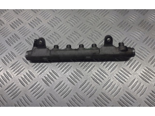 Vstřikovací lišta Audi A6 Allroad C6