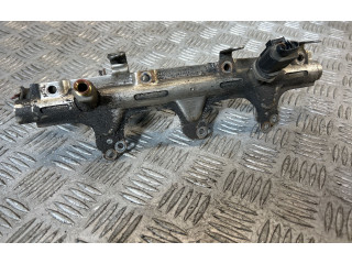 Топливная рампа Skoda Superb B6 (3T)