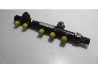 Топливная рампа 113262413   Citroen C3  