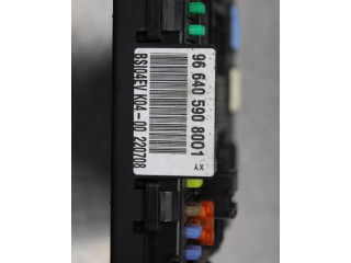 Блок предохранителей 966405908001   Citroen C5    