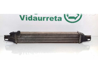 Интеркулер 51790623, L8119001 Fiat Qubo