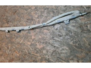 Боковая подушка безопасности 1Z5880741F, 048SCD03AU05   Skoda Octavia Mk2 (1Z)