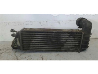 Интеркулер 1489396080, 1489396080 Citroen C8