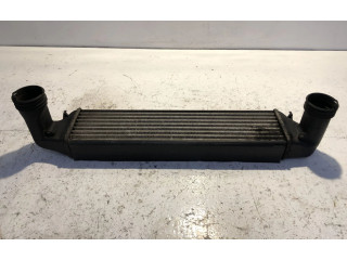 Интеркулер  204D4   BMW X3 E83 