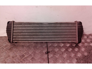 Интеркулер 621970, 621970 SsangYong Kyron