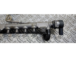 Vstřikovací lišta    Volkswagen Tiguan     