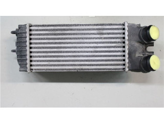 Интеркулер 0384G5, 874964GJ Citroen Berlingo