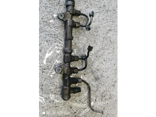 Vstřikovací lišta 0445214239, 0445214239 Fiat Punto Evo