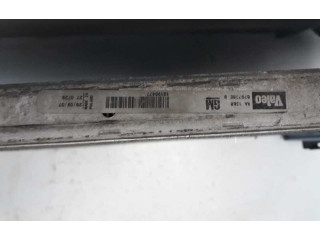 Форсунка 13196477, 58204 Fiat Croma 939A1000