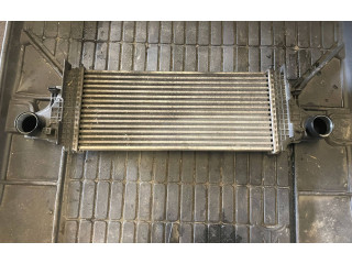 Интеркулер  A2515000000   Mercedes-Benz R W251 