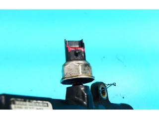 Топливная рампа 55PP0603, IMPRK1241526   Peugeot Expert  