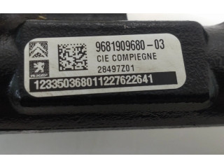 Топливная рампа 9681909680, 9814383880   Peugeot Expert   для двигателя RH02