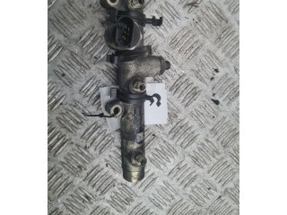 Топливная рампа 059130089D   Audi A6 S6 C6 4F   для двигателя BMK