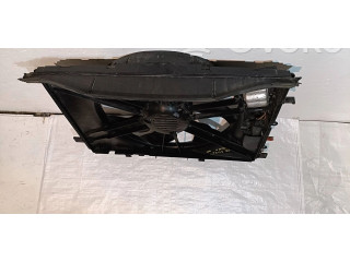 Вентилятор радиатора     3136613436, A2049060212    Mercedes-Benz E W212 