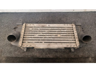 Интеркулер  1.4TDI8Z0145805F   Audi A2 