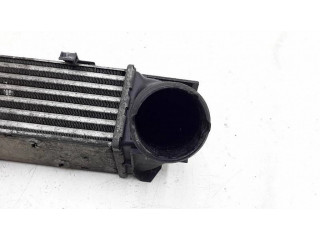 Интеркулер 0809080841, 7524916 BMW 1 E82 E88 2.0